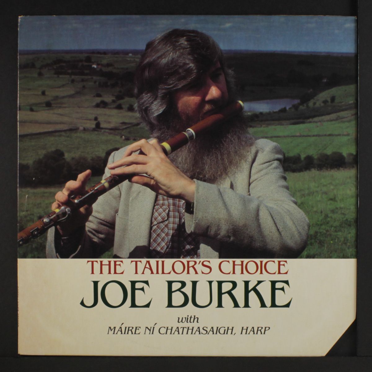 the tailor's choice by JOE BURKE