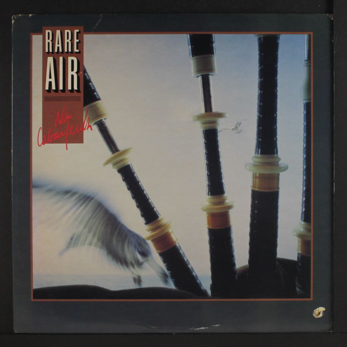 na cabarfeidh by RARE AIR