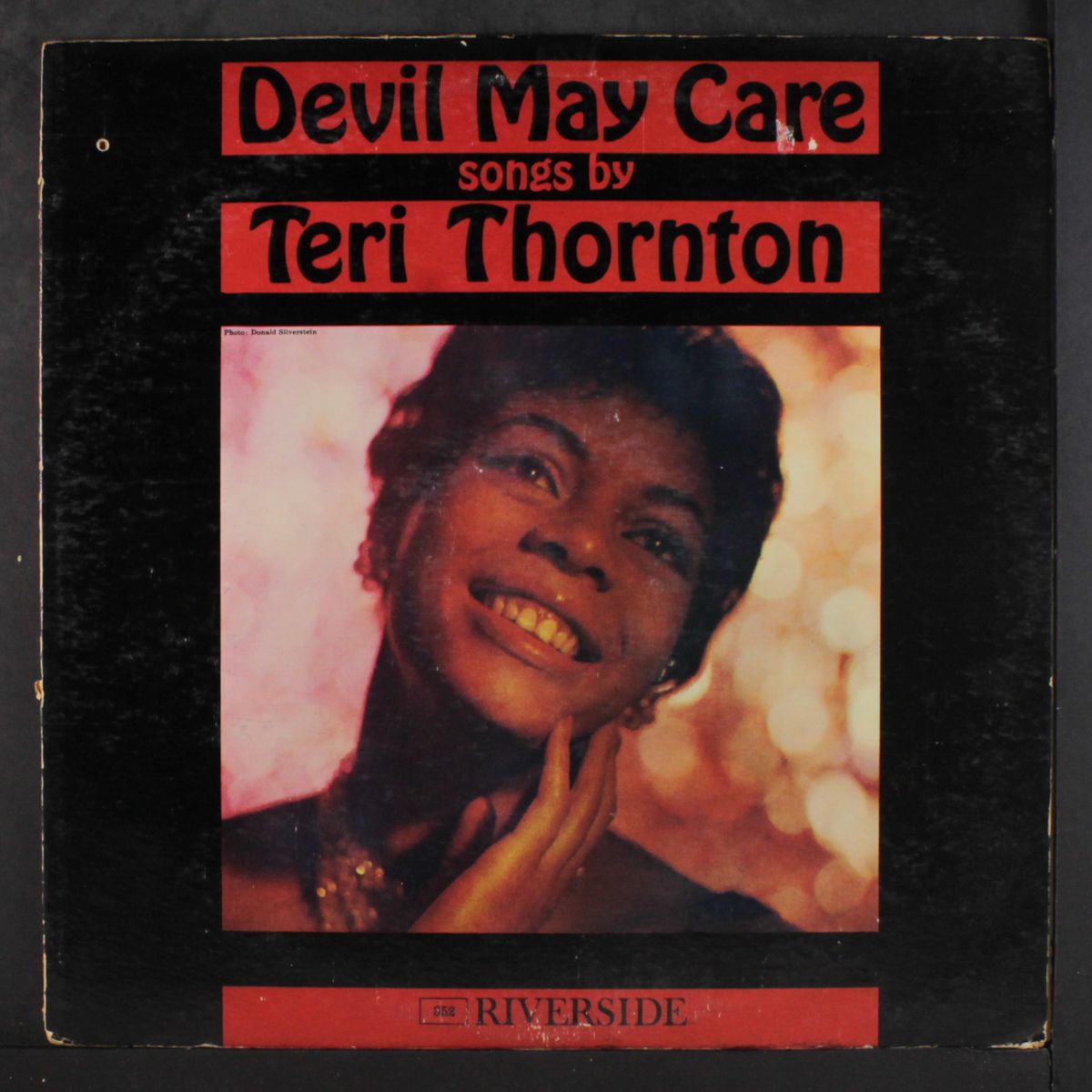 devil may care by TERI THORNTON