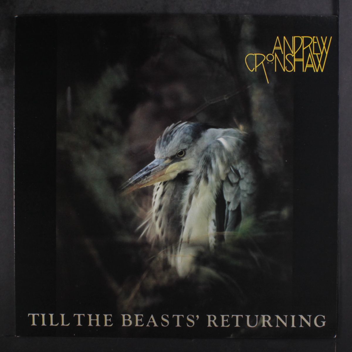 till the beasts' returning by ANDREW CRONSHAW