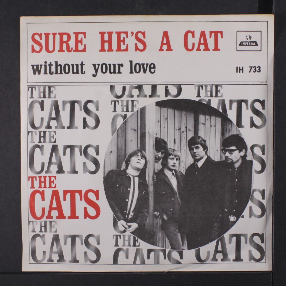 sure he's a cat / without your love by CATS