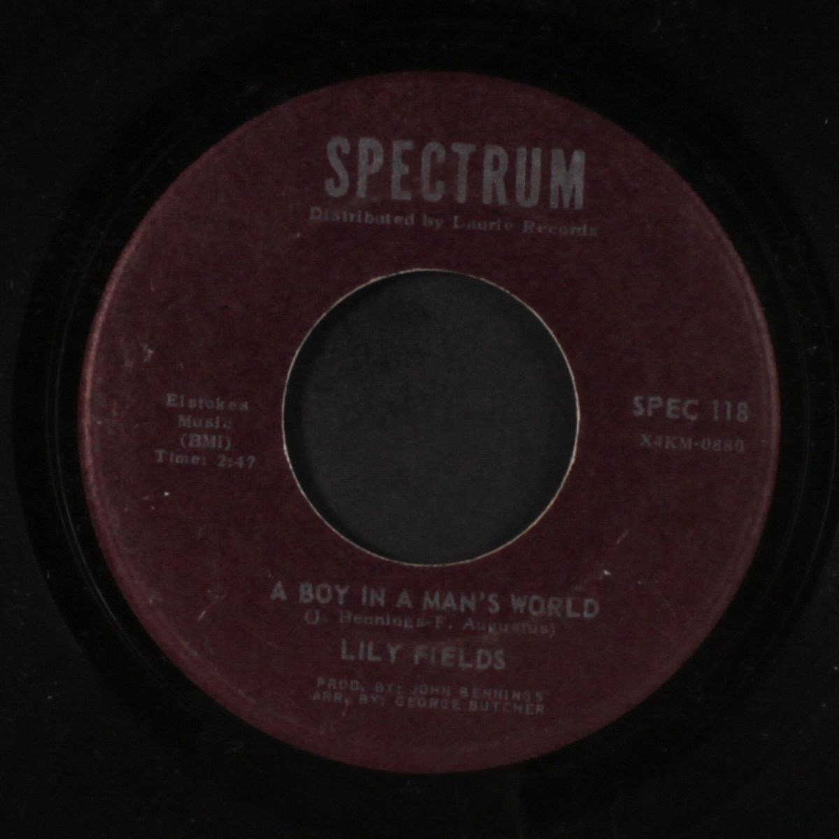 sweet soul (brother / a boy in a man's world) by LILY FIELDS & HOAGY LANDS