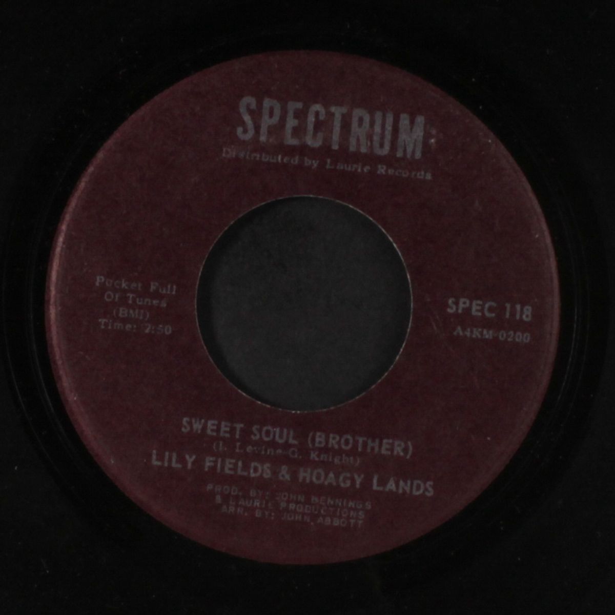 sweet soul (brother / a boy in a man's world) by LILY FIELDS & HOAGY LANDS