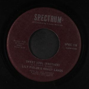 LILY FIELDS & HOAGY LANDS