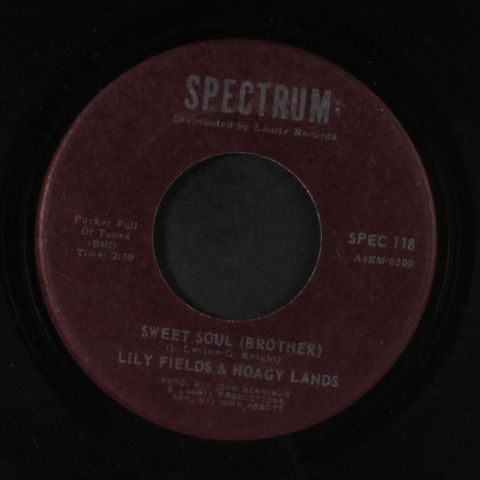 LILY FIELDS & HOAGY LANDS