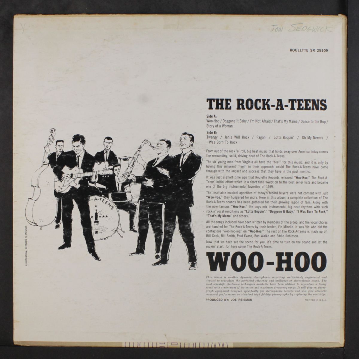 woo-hoo by ROCK-A-TEENS