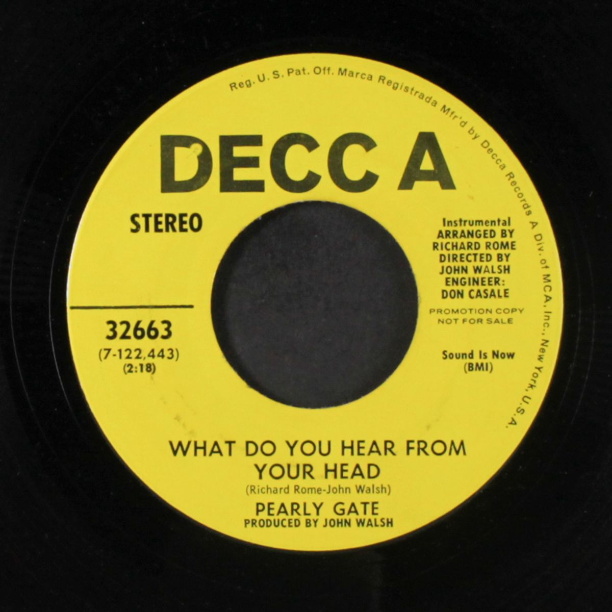 daisey / what do you hear from your head (instrumental ) by PEARLY GATE