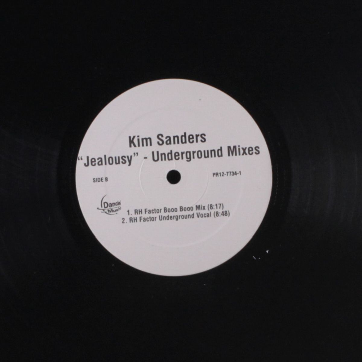 jealousy by KIM SANDERS