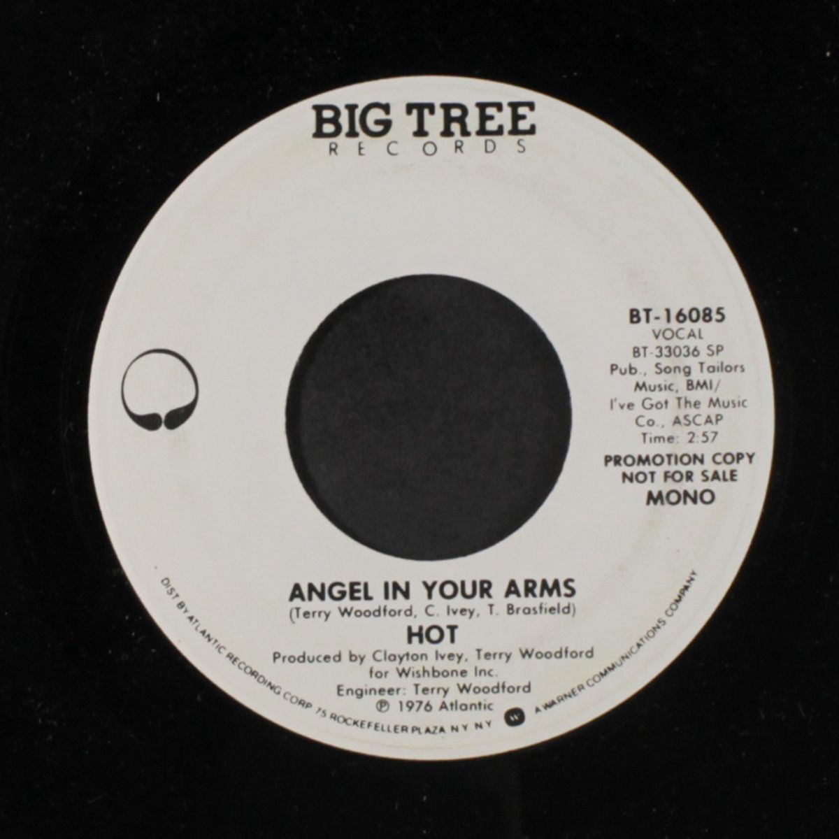 angel in your arms / mono by HOT