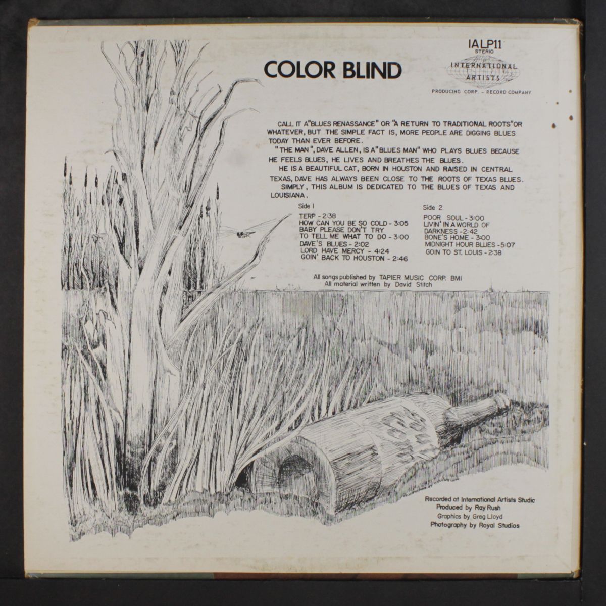 color blind by DAVE 'THE MAN' ALLEN