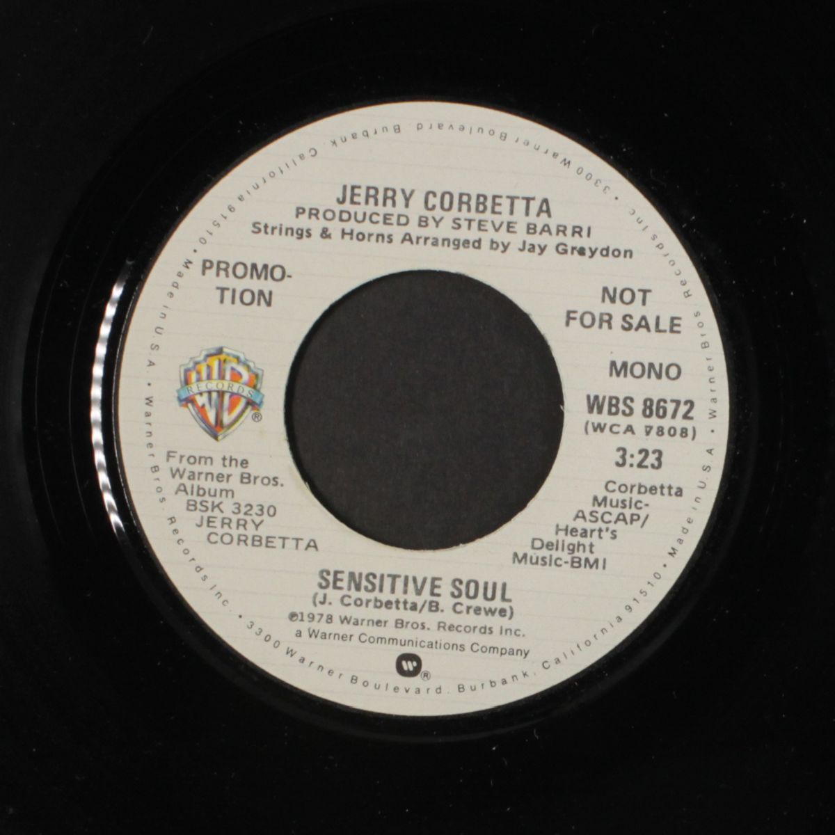 sensitive soul / mono by JERRY CORBETTA