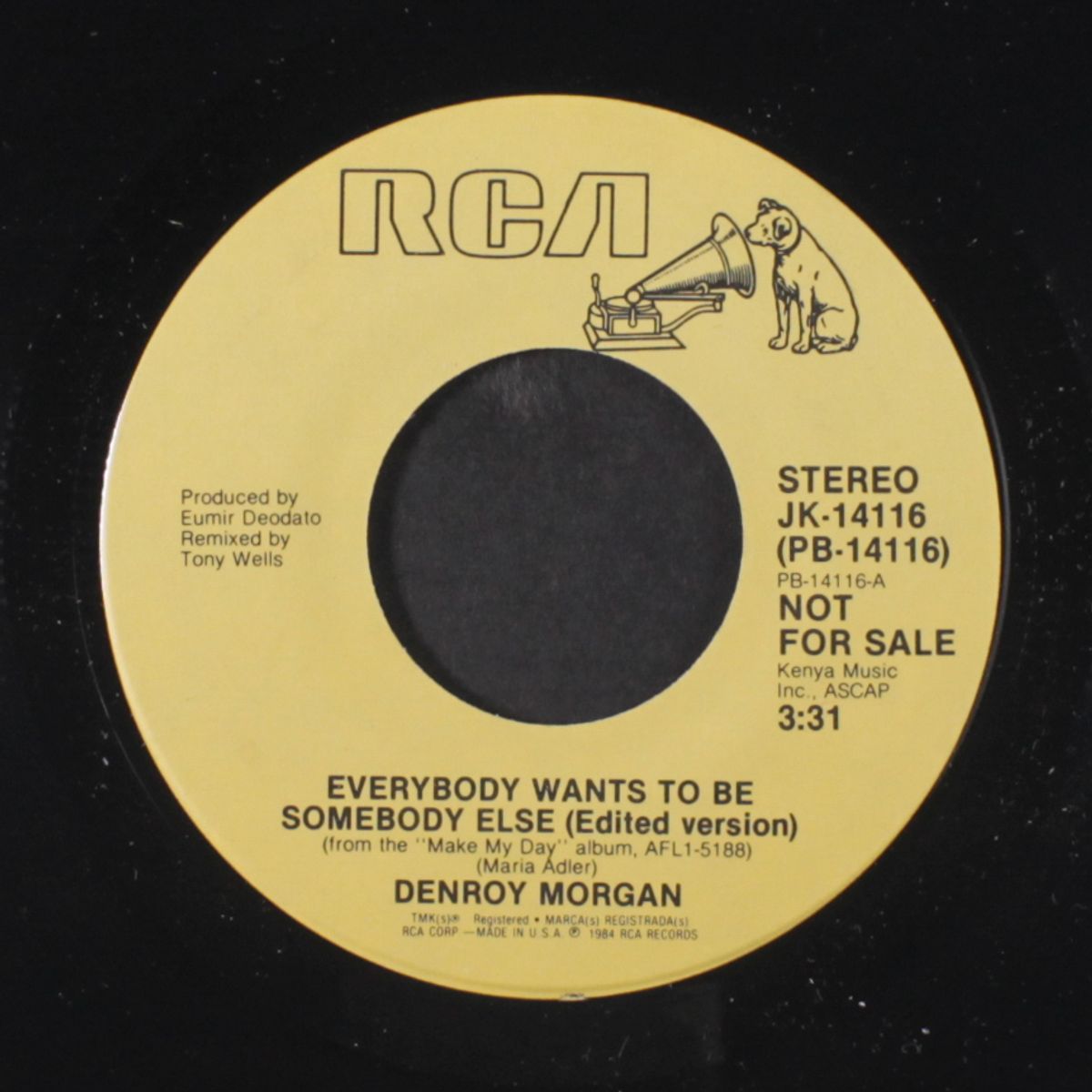 everybody wants to be somebody else / same by DENROY MORGAN