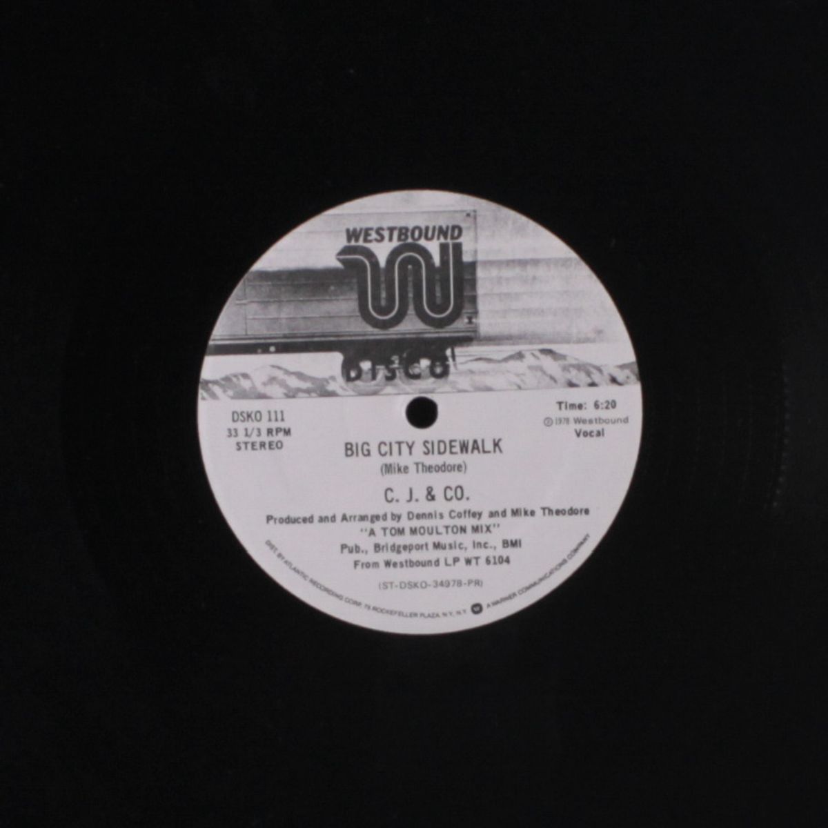 big city theme / big city sidewalk by C.J. & CO.