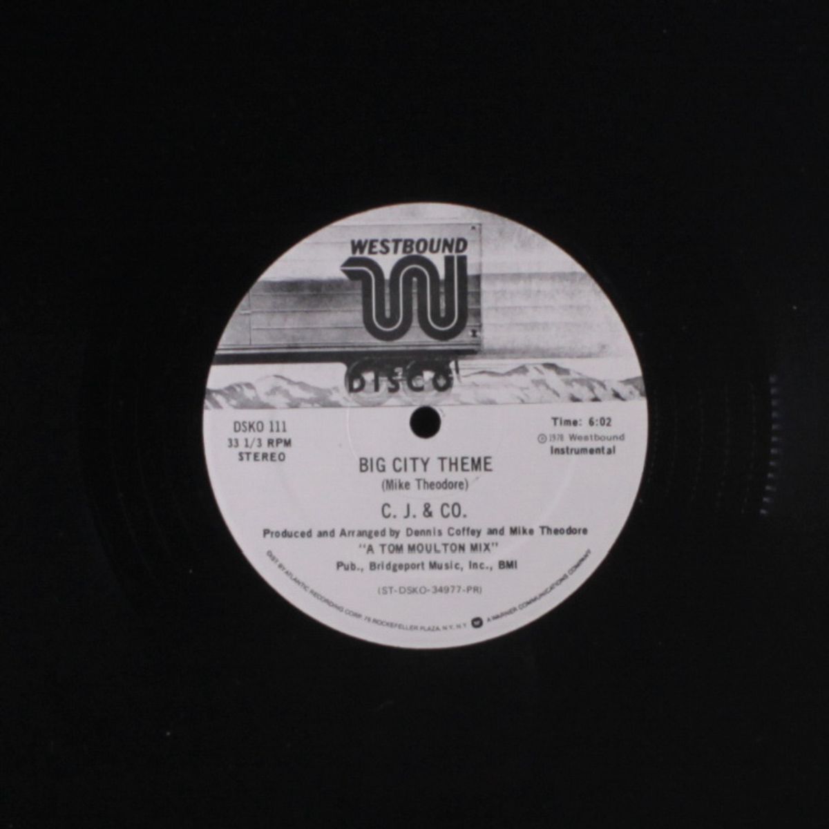big city theme / big city sidewalk by C.J. & CO.