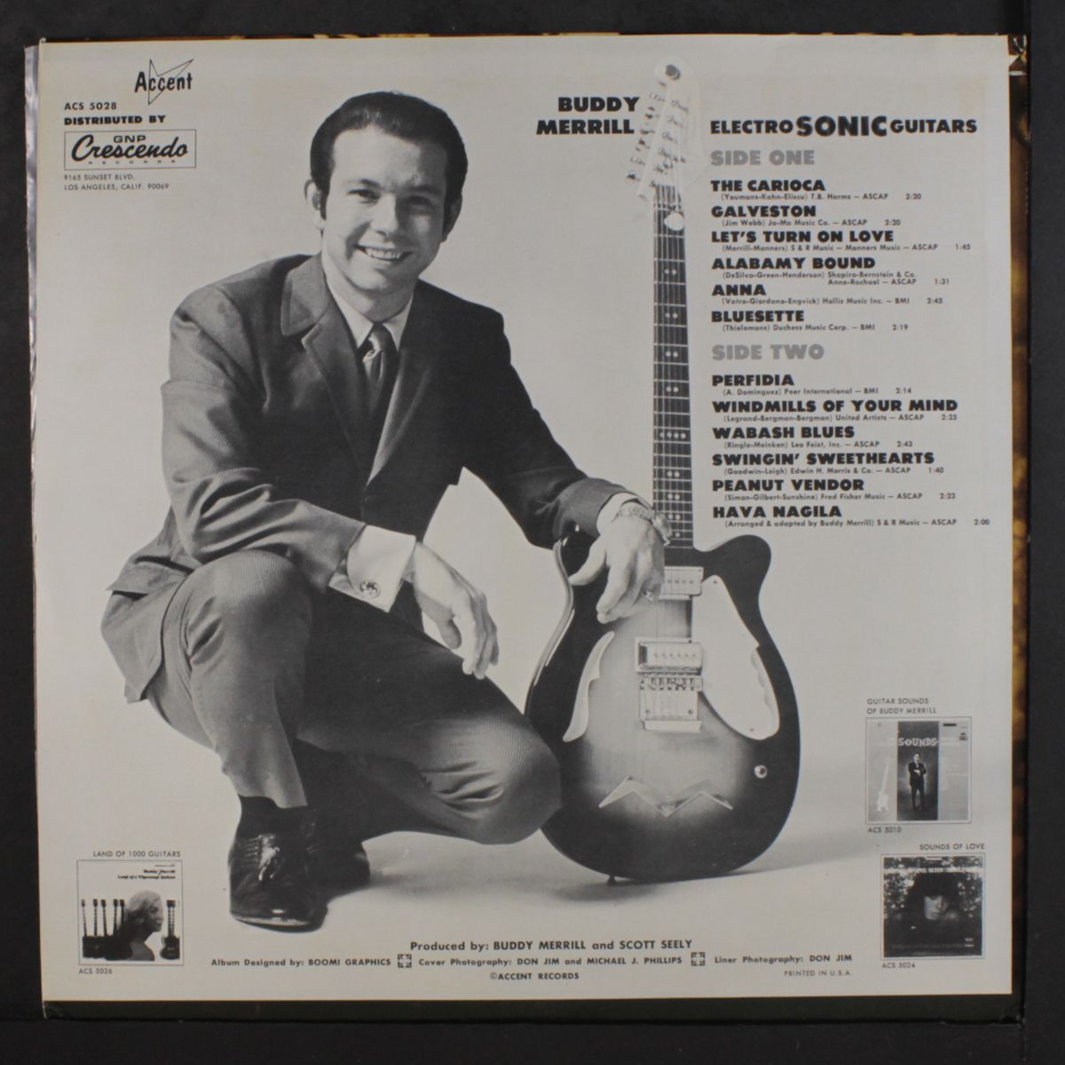electro sonic guitars by BUDDY MERRILL