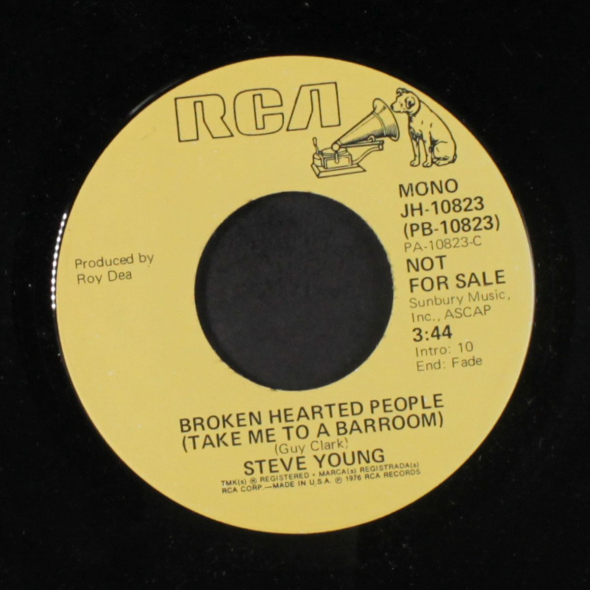 broken hearted people / mono by STEVE YOUNG