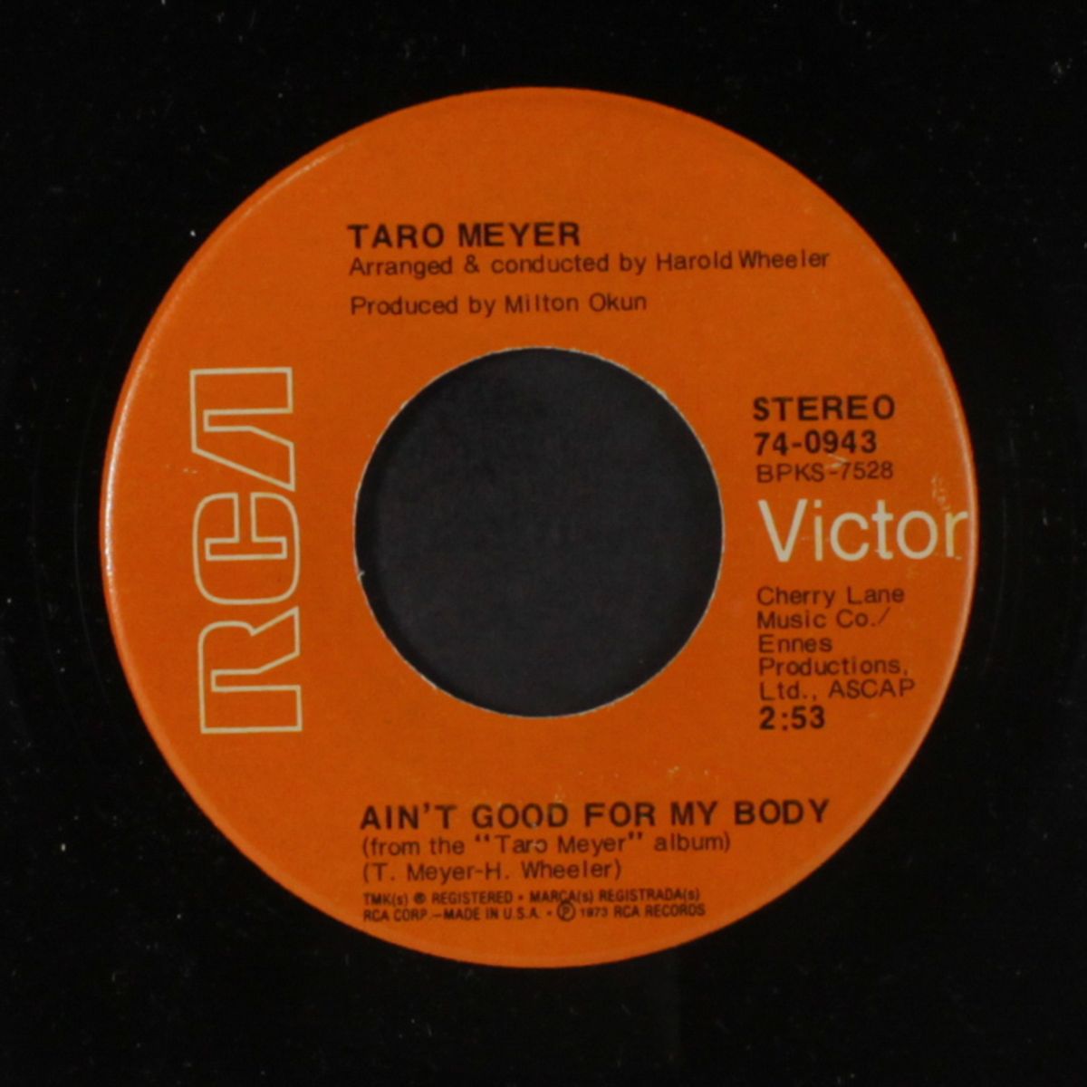 stripped down to my senses / ain't good for my body by TARO MEYER
