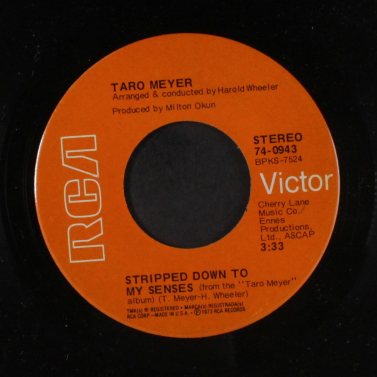 stripped down to my senses / ain't good for my body by TARO MEYER