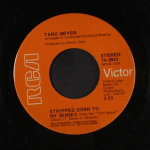 TARO MEYER