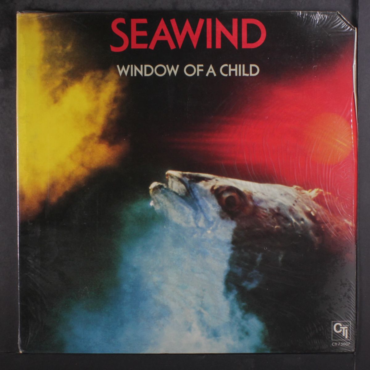 window of a child by SEAWIND