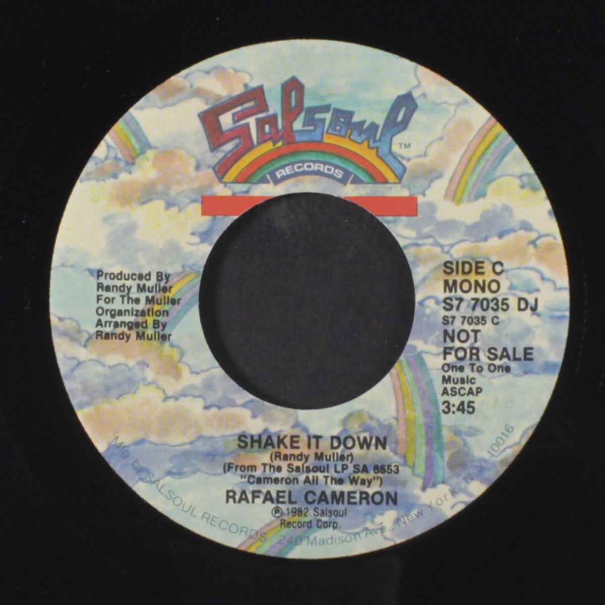 shake it down / mono by RAFAEL CAMERON