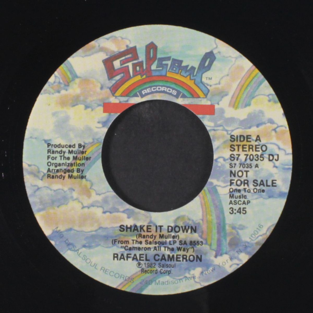 shake it down / mono by RAFAEL CAMERON
