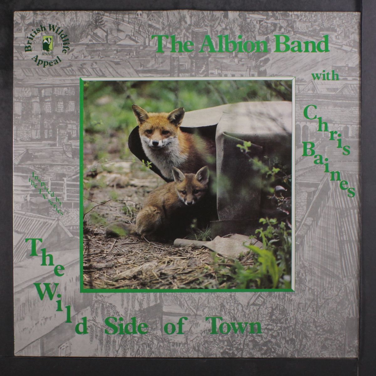 the wild side of town by ALBION BAND