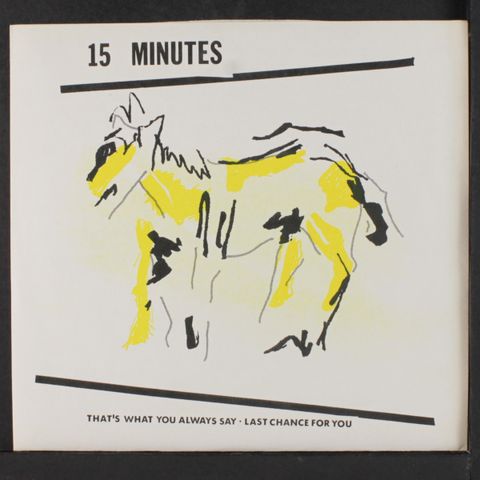 15 MINUTES