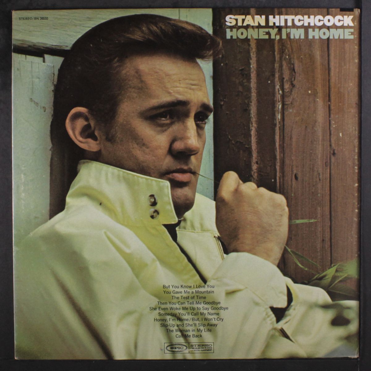 honey, i'm home by STAN HITCHCOCK