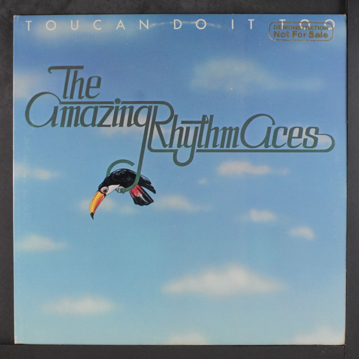 toucan do it too by AMAZING RHYTHM ACES