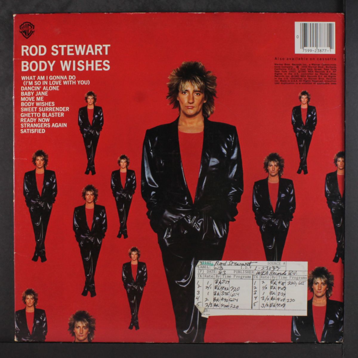 body wishes by ROD STEWART