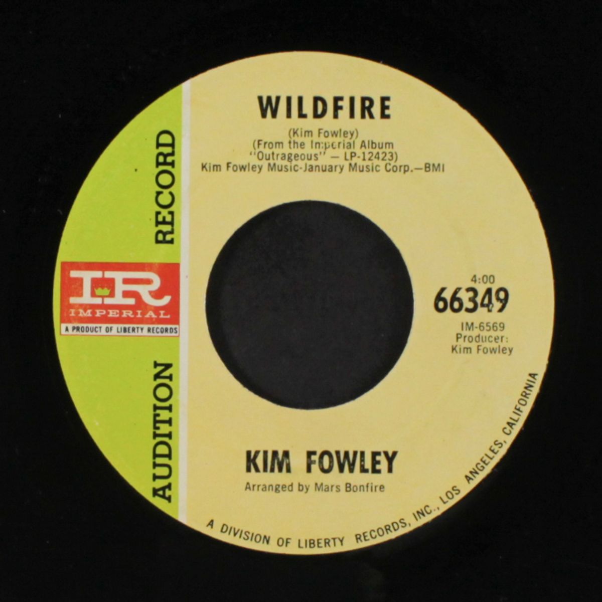 bubble gum / wildfire by KIM FOWLEY