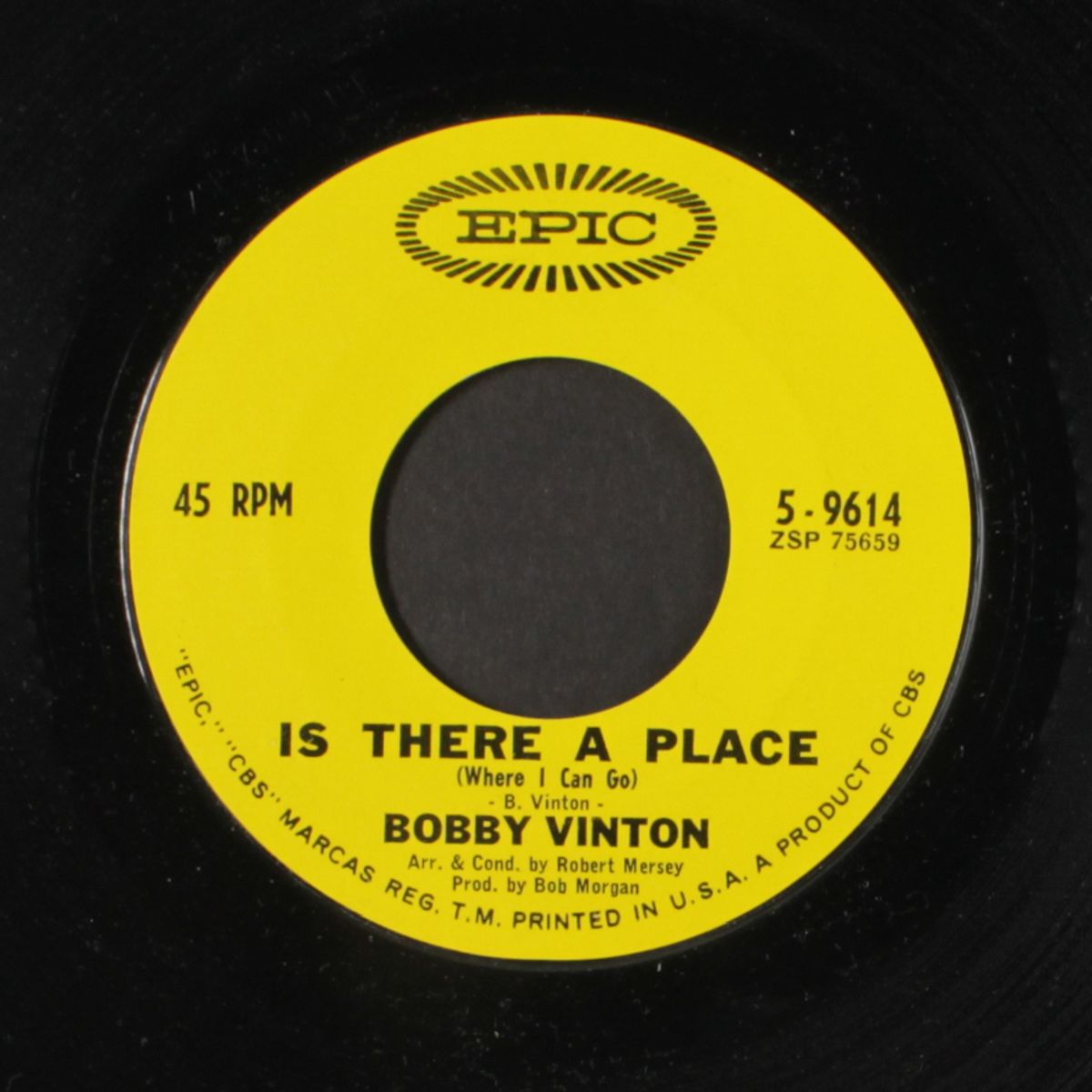 blue velvet / is there a place by BOBBY VINTON