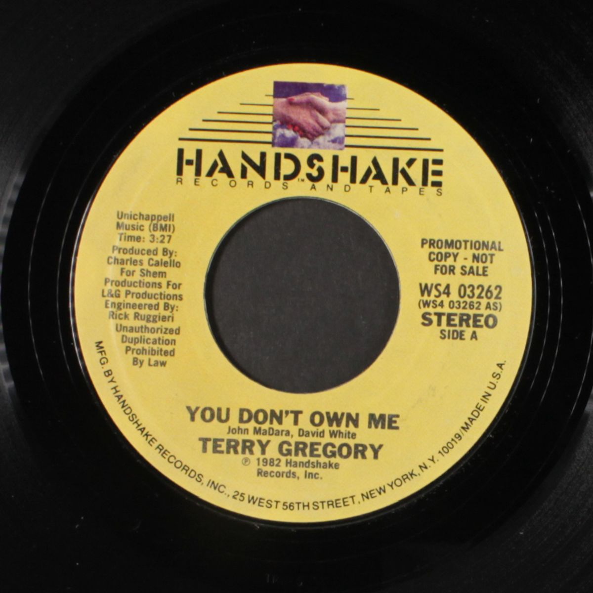 you don't own me by TERRY GREGORY