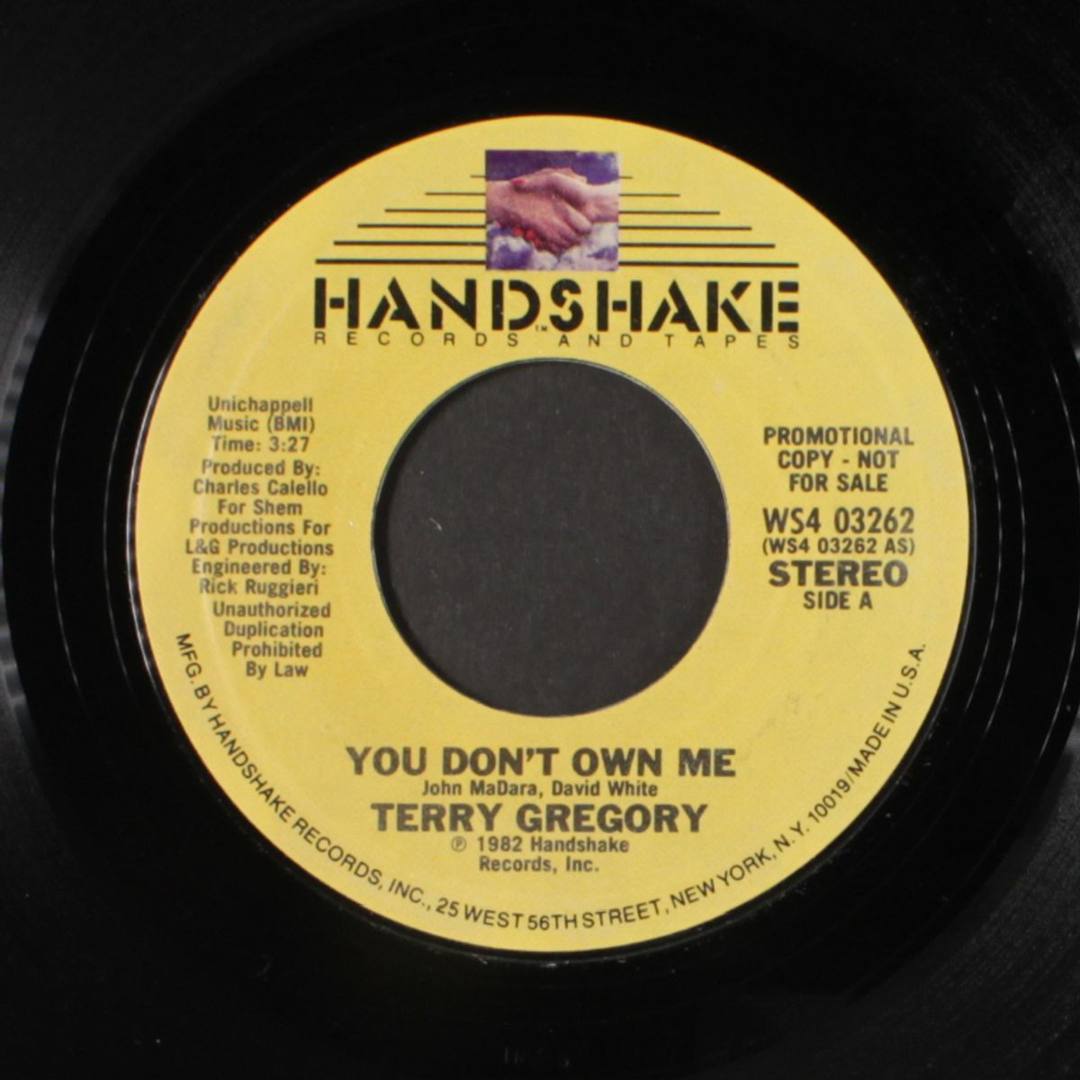 you don't own me by TERRY GREGORY