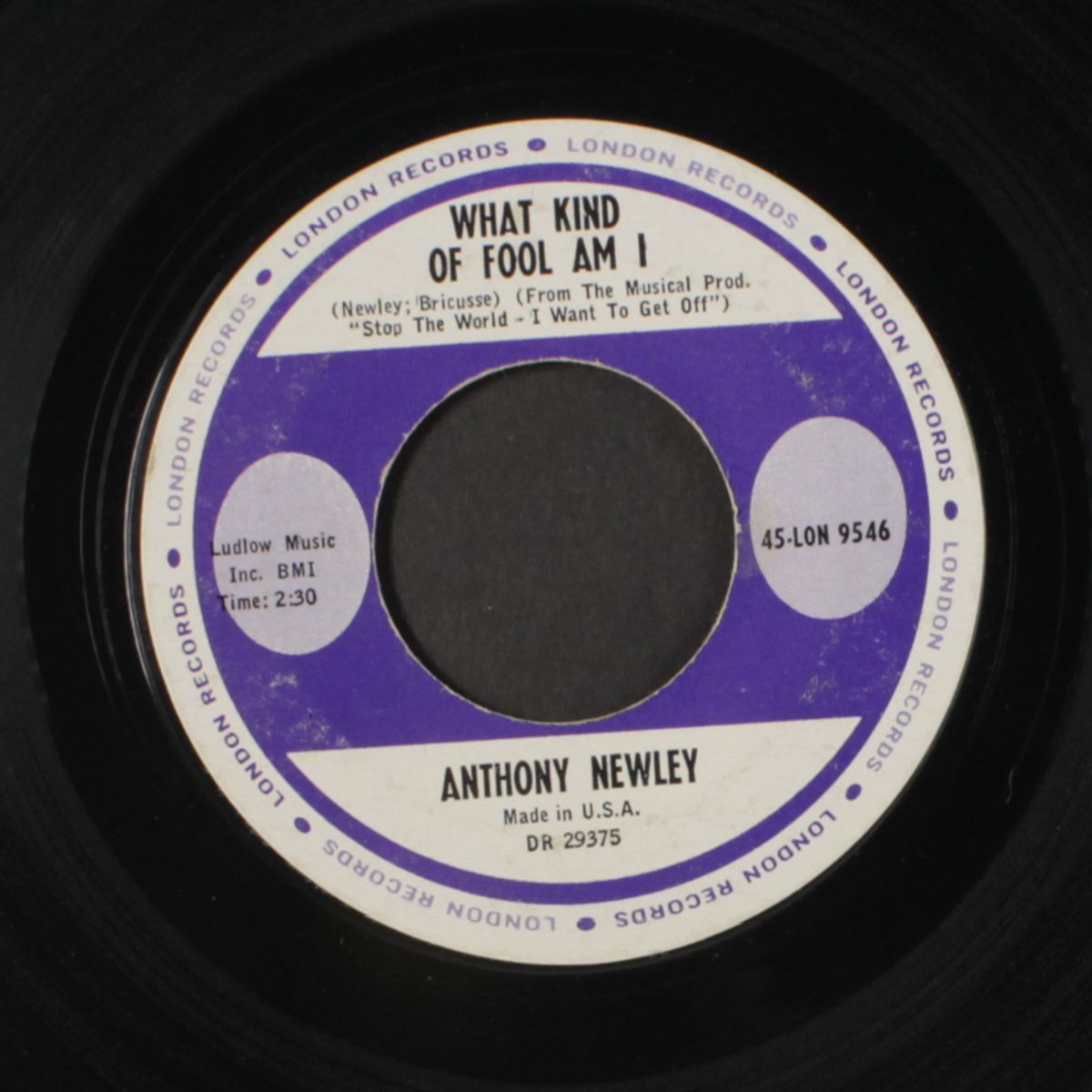 gonna build a mountain / what kind of fool am i by ANTHONY NEWLEY