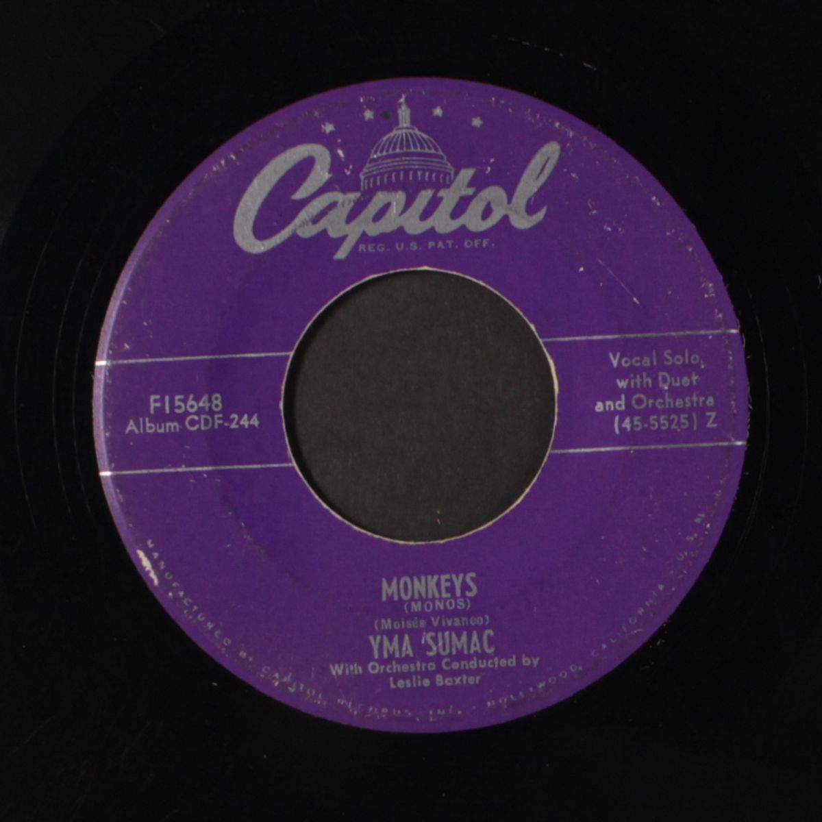 monkeys / high andes by YMA SUMAC
