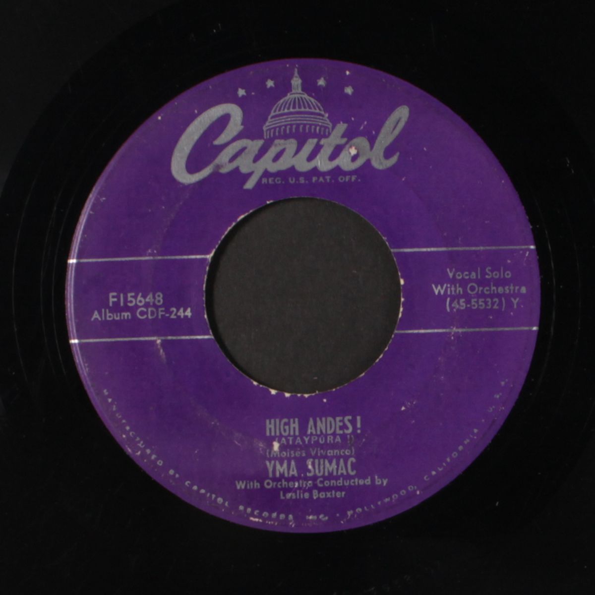 monkeys / high andes by YMA SUMAC