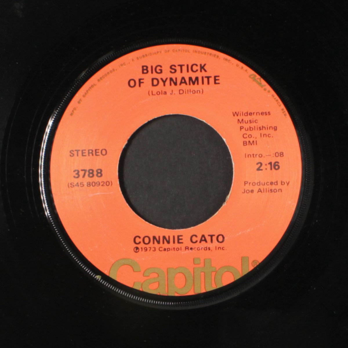 superskirt / big stick of dynamite by CONNIE CATO