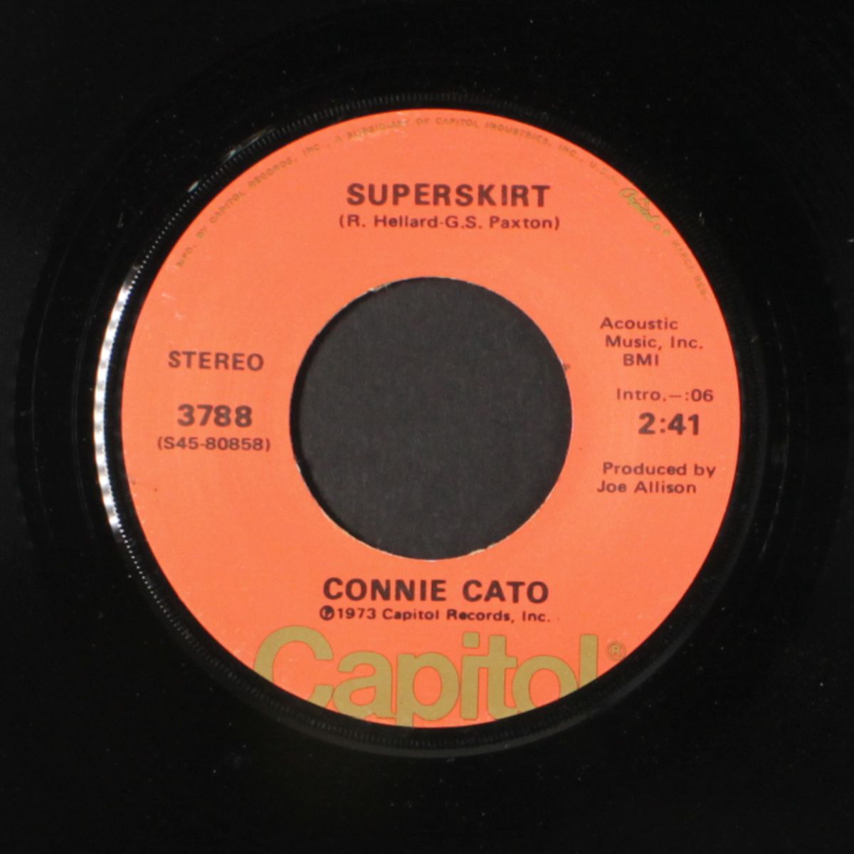 superskirt / big stick of dynamite by CONNIE CATO